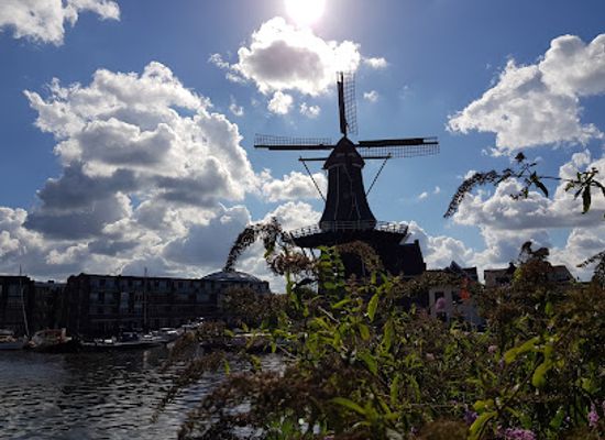 netherlands/kennemerland/landmark/haarlem
