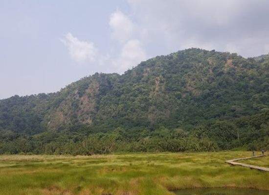 uganda/toro/landmark/semuliki-national-park