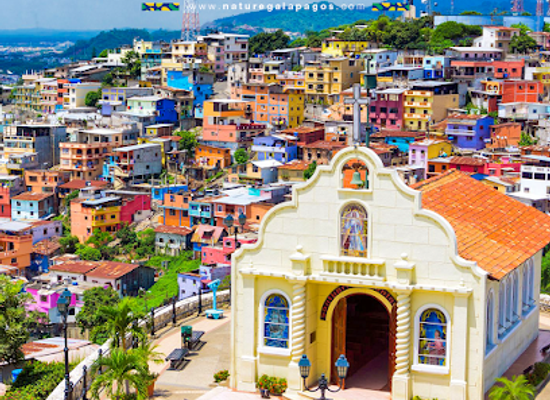 ecuador/oriente/landmark/galapagos-tours-nature-galapagos-ecuador