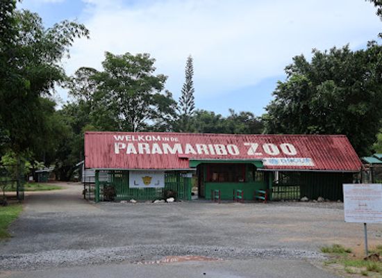 suriname/saramacca-district/landmark/paramaribo-zoo