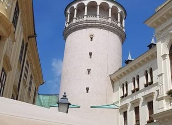 hungary/sopron-wine-region/landmark/fire-tower