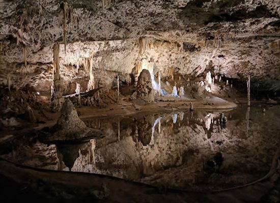 czechia/north-moravia/landmark/punkva-caves