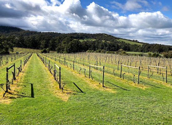 australia/yarra-valley/landmark/steels-gate-wines