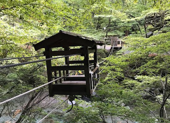 japan/shikoku/landmark/oku-iya-double-vine-bridge