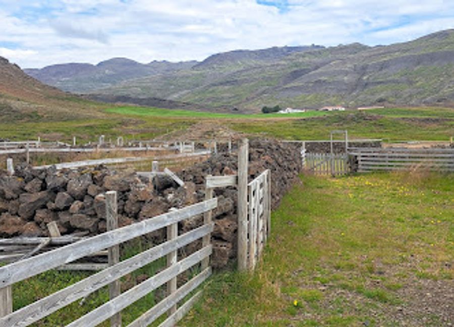 Explore the breathtaking landscapes of Snæfellsvegur, a scenic gem in Iceland rich in natural beauty and folklore, ideal for nature lovers and adventure seekers.