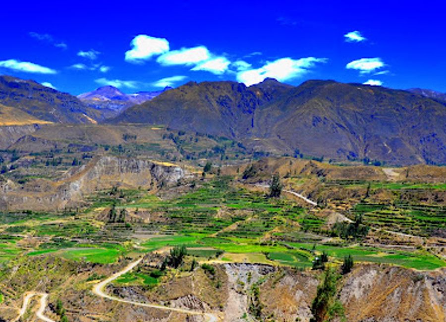 Discover the tranquil beauty of Sangalle, the breathtaking oasis in the heart of Colca Canyon, perfect for nature lovers and adventure seekers alike.