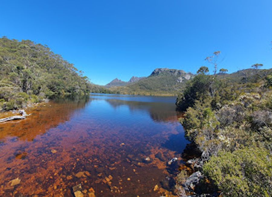 Discover Tasmania's unique wildlife at Devils@Cradle, a sanctuary dedicated to conservation and education in the stunning Cradle Mountain region.