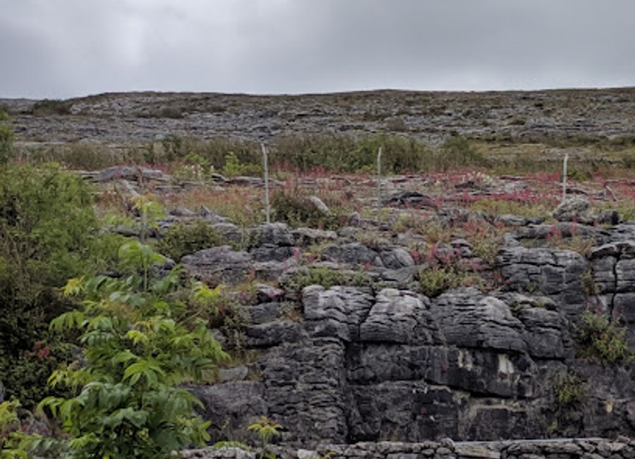 Experience the breathtaking beauty and rich heritage of the Burren at the Aillwee Burren Experience, a must-see tourist attraction in Co. Clare.