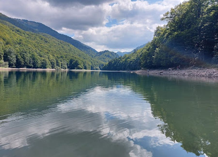 Discover the breathtaking beauty of Biogradska Gora National Park, Montenegro's natural treasure filled with lush woods, serene lakes, and rich biodiversity.