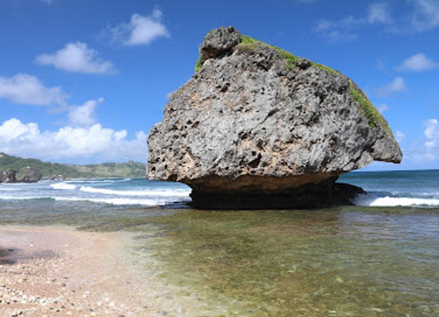 Discover a hidden paradise in Barbados: Hunte's Gardens, a breathtaking botanical sanctuary created within a unique sinkhole, showcasing exotic flora and tranquil beauty.