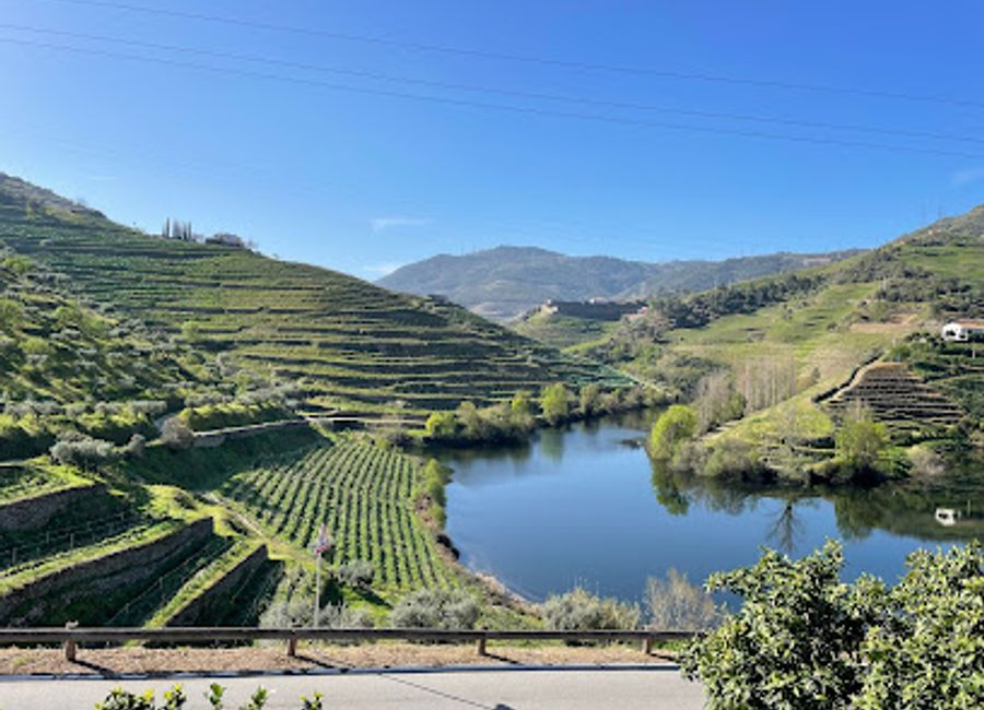 Experience the beauty and flavor of Portugal at Quinta do Tedo, a winery offering exquisite wines, delicious food, and stunning Douro Valley views.
