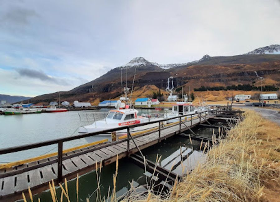 Experience the breathtaking beauty and vibrant culture of Hafen von Seyðisfjörður, a picturesque port in Iceland's stunning East Fjords.