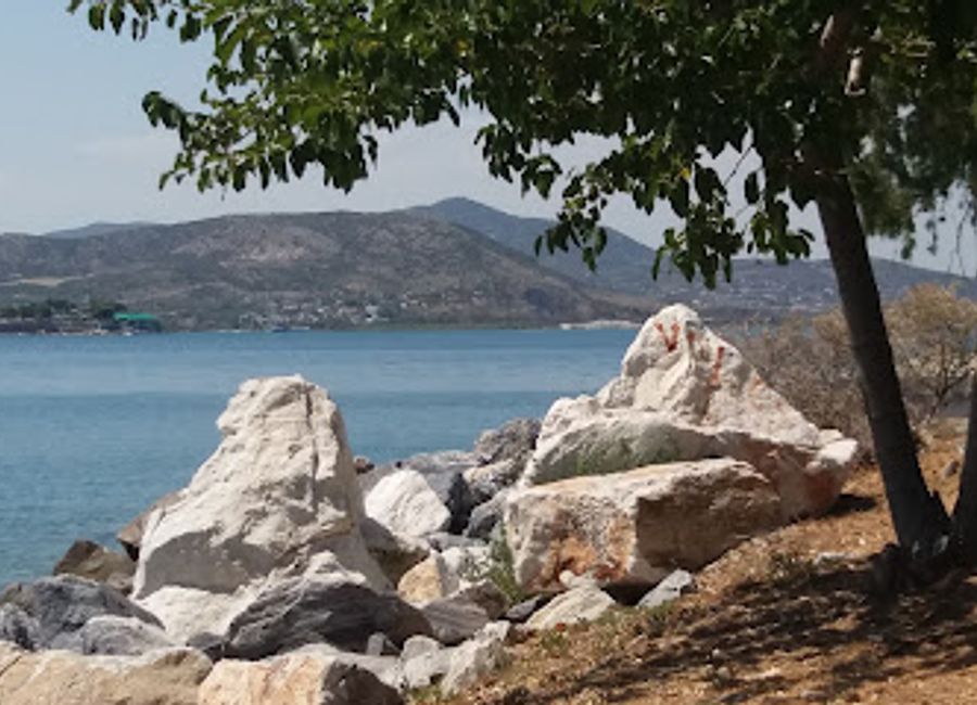 Explore ancient Thessaly's treasures at the Athanasakio Archaeological Museum in Volos, from Neolithic settlements to the Roman era.