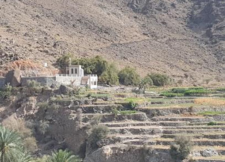 Experience the serene beauty of Wadi Bani Kharus, an enchanting oasis in Oman offering breathtaking landscapes and outdoor adventures.