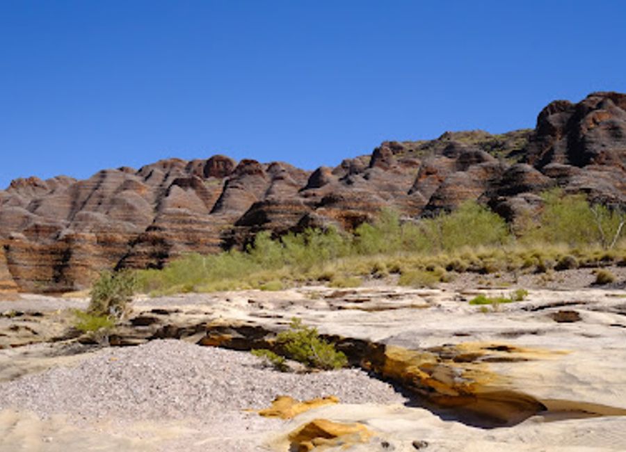 Explore the stunning Bungle Bungle Range and rich wildlife of Purnululu National Park, a UNESCO World Heritage site in Western Australia.