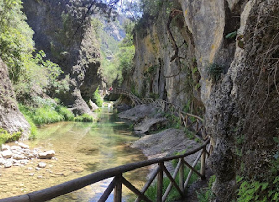 Explore the breathtaking landscapes and rich biodiversity of Parque Natural de las Sierras de Cazorla, Segura y Las Villas, a paradise for nature lovers in Spain.