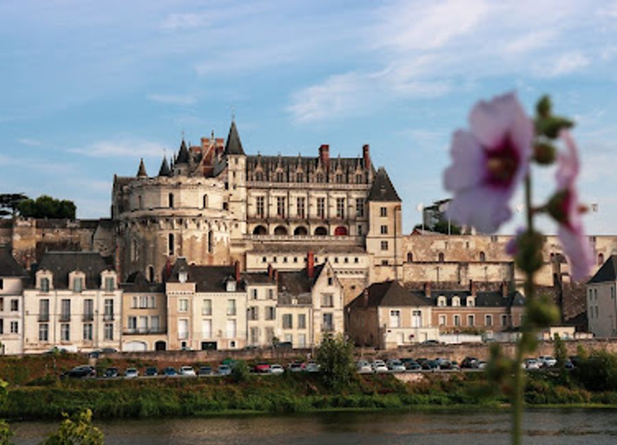 Experience the grandeur of Château Royal d'Amboise, a historic castle offering stunning views, rich heritage, and beautiful gardens in the heart of the Loire Valley.