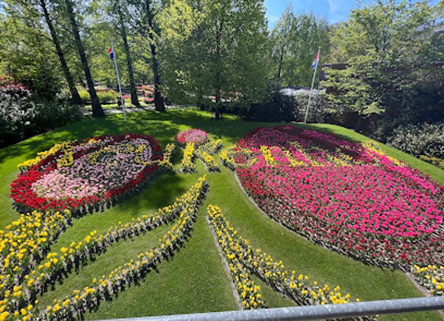 Explore Kasteel Keukenhof, a stunning castle surrounded by vibrant gardens and tulip fields, where history and beauty intertwine in the heart of the Netherlands.