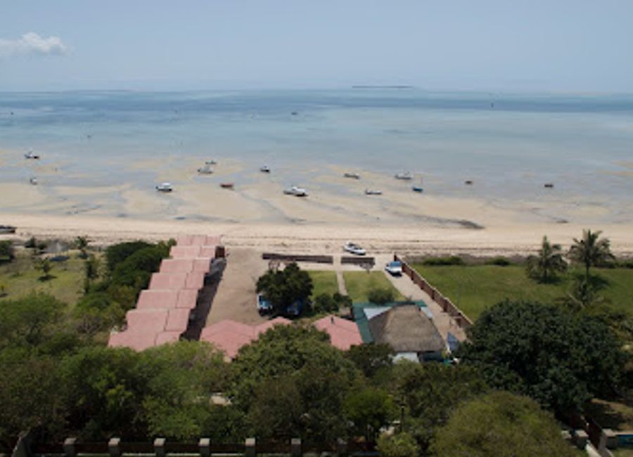 Experience thrilling fishing charters and breathtaking whale watching at Big Blue Vilankulo, the ultimate destination for marine adventure in Mozambique.