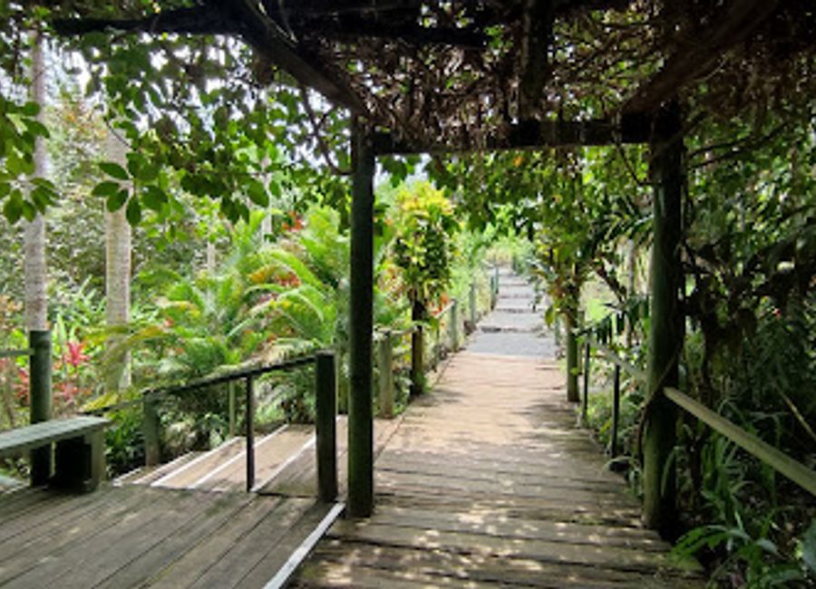 Explore the stunning Garden of the Sleeping Giant in Fiji – a botanical haven filled with vibrant orchids and lush landscapes inviting you to unwind.