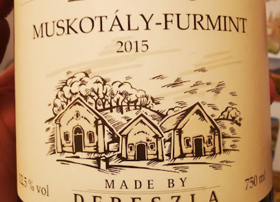 Discover the enchanting world of Tokaj wines at Vinoteka and Cellar-Labyrinth in Bodrogkeresztúr, where tradition meets exquisite taste.