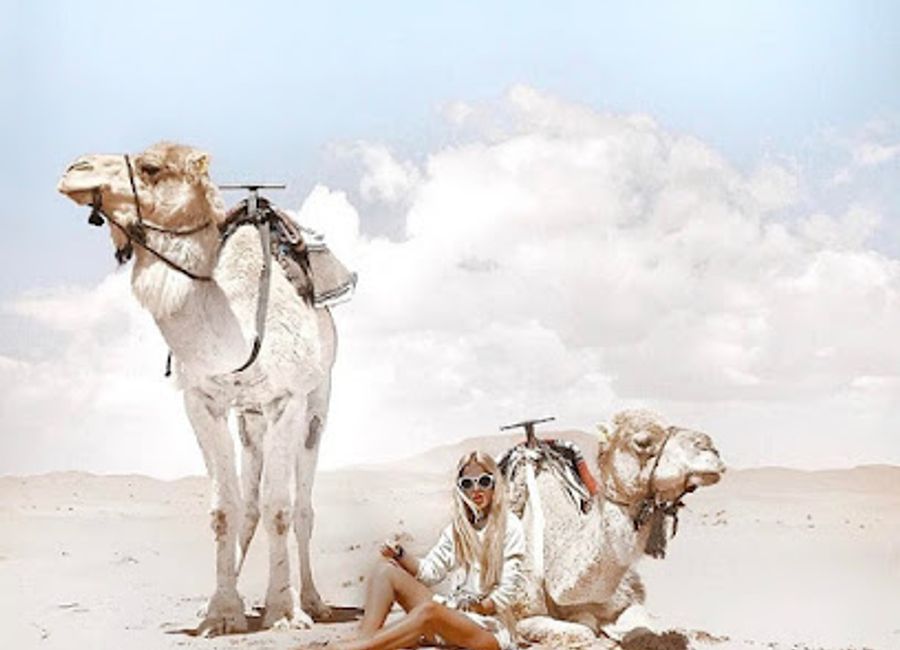 Discover the enchanting beauty of the Sahara at Ali & Sara's Desert Palace, the ultimate desert campground experience in Merzouga, Morocco.