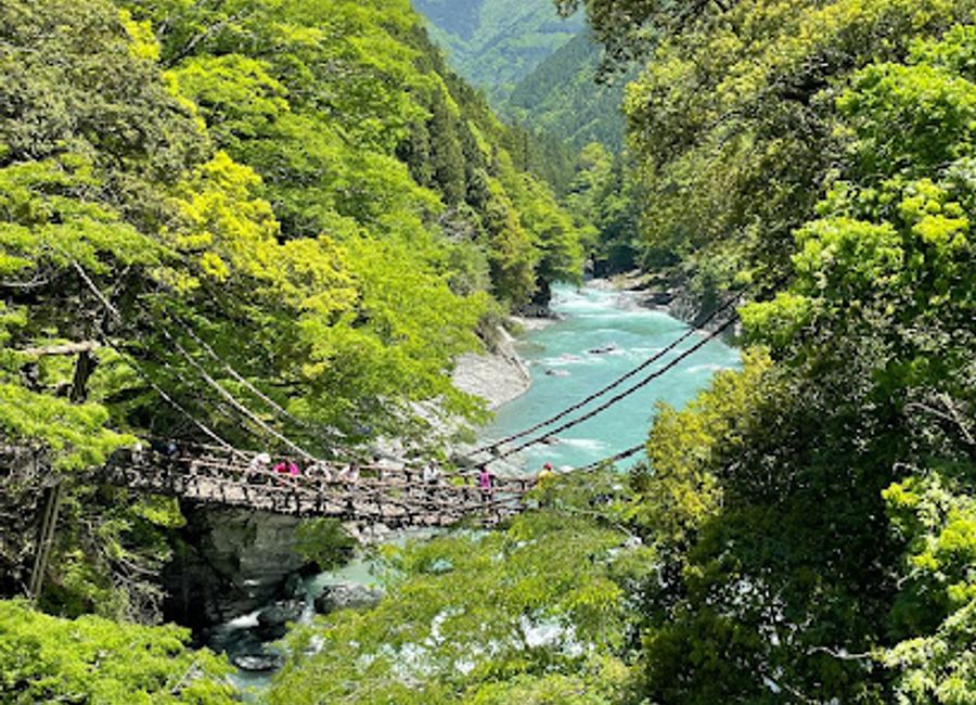 Explore the enchanting Vine Bridge in the Iya Valley, a stunning testament to Japan's natural beauty and traditional craftsmanship.