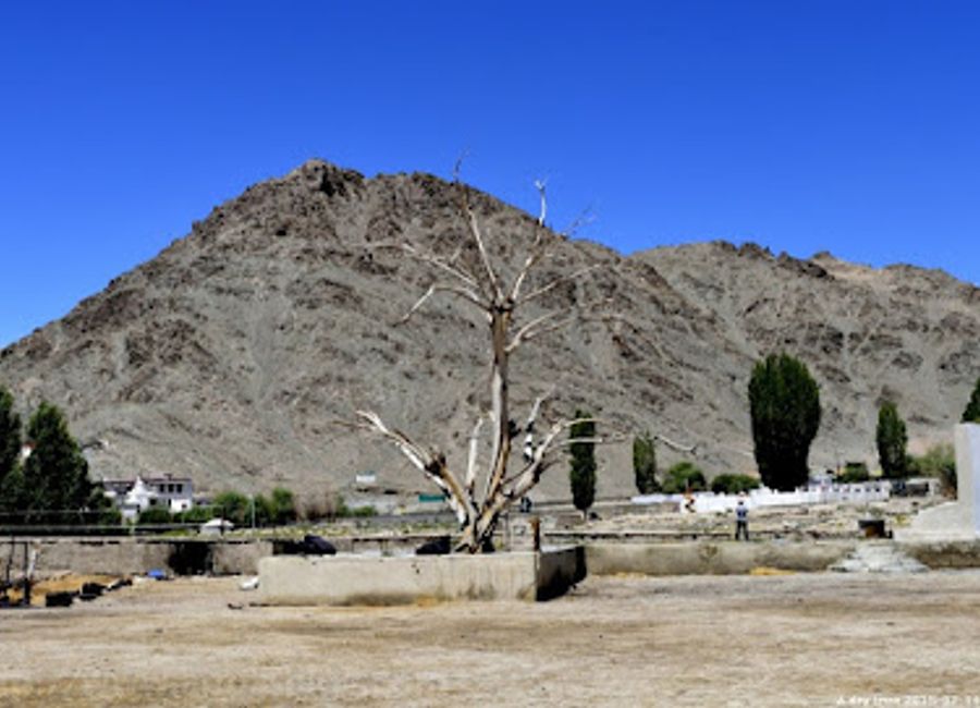Discover the historic Zorawar Fort in Leh, a majestic fortress with breathtaking views and rich cultural heritage, perfect for every traveler.