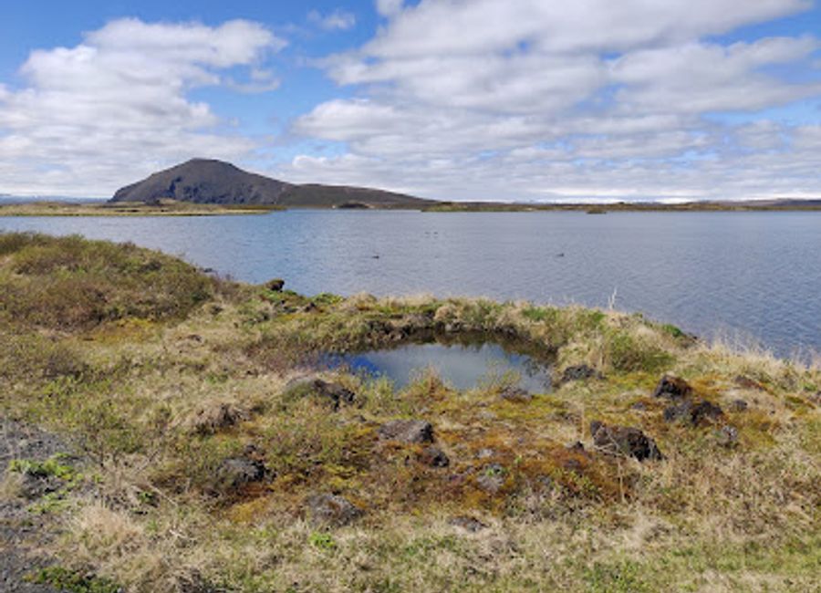Discover the avian wonders of Iceland at Sigurgeir's Bird Museum, featuring a rich collection of native bird species in a stunning natural setting.