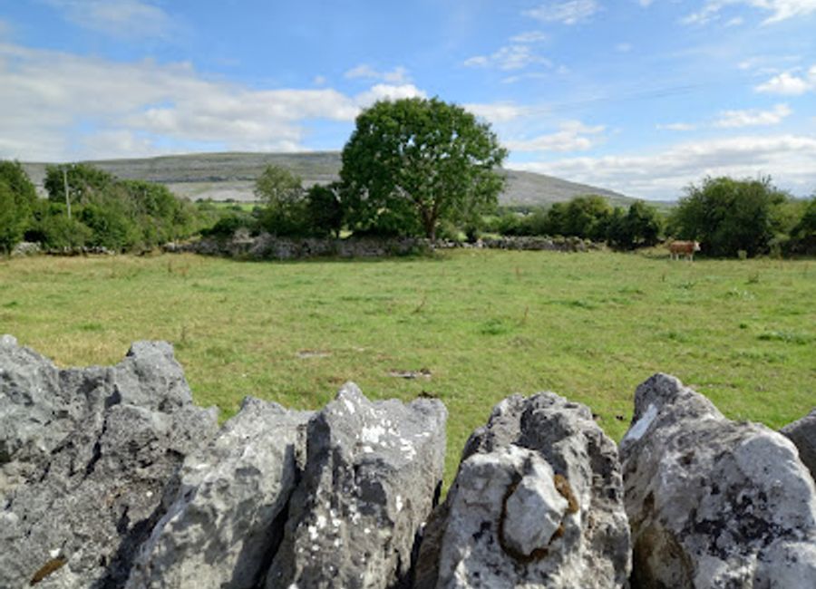 Explore the breathtaking Corcomroe Abbey in County Clare, a medieval monastic site surrounded by the stunning Burren landscape, rich in history and tranquility.
