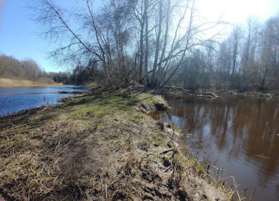 Experience the serene beauty of Lemmjõe Keelemetsa Õpperada, a stunning hiking area in Viljandi County, where nature and tranquility meet.