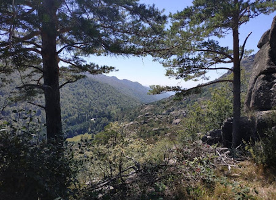 Explore the lush landscapes of Mata de Albergaria, a serene national forest in Gerês National Park, perfect for hiking, wildlife watching, and rejuvenating nature escapes.