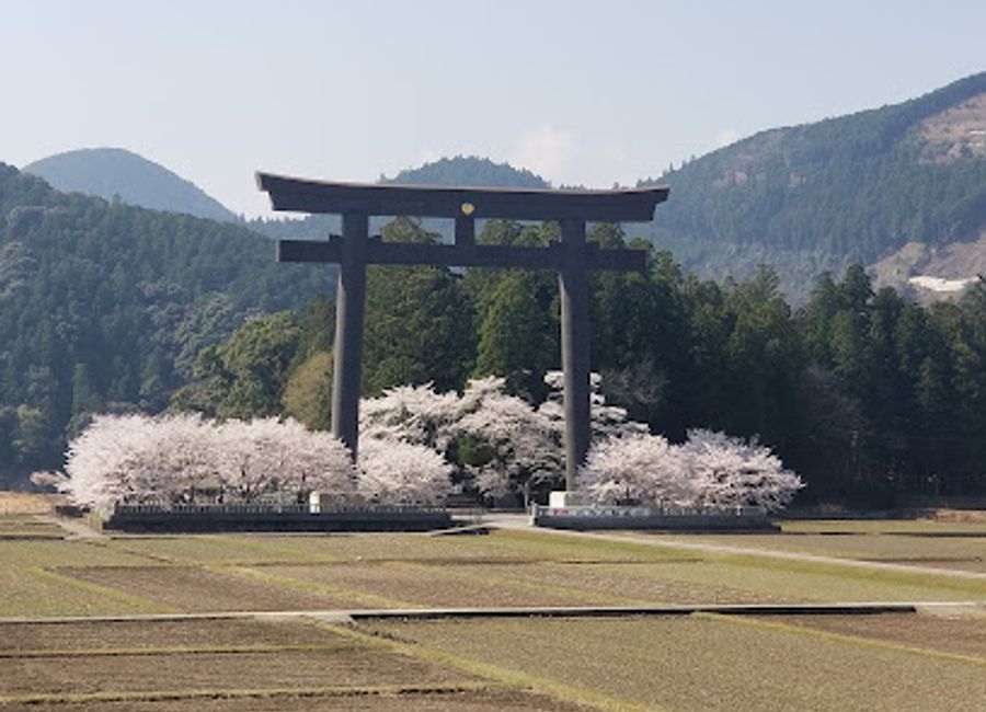 Experience the ancient Kumano Kodo pilgrimage routes with expert guides and immerse yourself in Japan's rich culture and breathtaking landscapes.