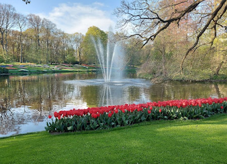 Experience the enchanting beauty of Keukenhof Windmill, a timeless symbol of Dutch culture surrounded by breathtaking gardens and serene landscapes.