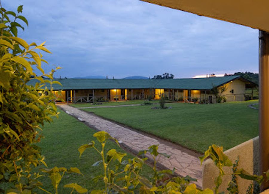 Discover Ngorongoro Rhino Lodge, your tranquil haven in the heart of the Ngorongoro Conservation Area, surrounded by breathtaking wildlife and stunning landscapes.