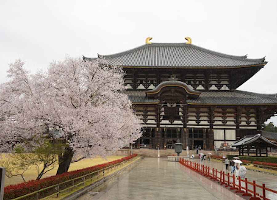Explore the Great South Gate of Todaiji, a UNESCO World Heritage site showcasing stunning architecture and the rich cultural heritage of Japan.