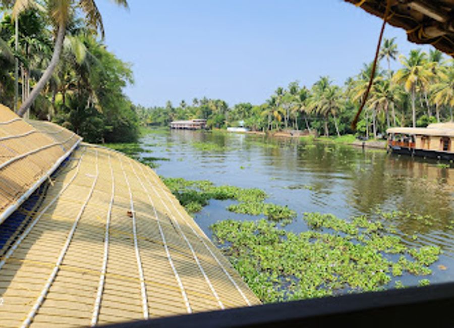 Explore the enchanting Kumarakom Bird Sanctuary, a paradise for birdwatchers with diverse avian species and serene backwater views.