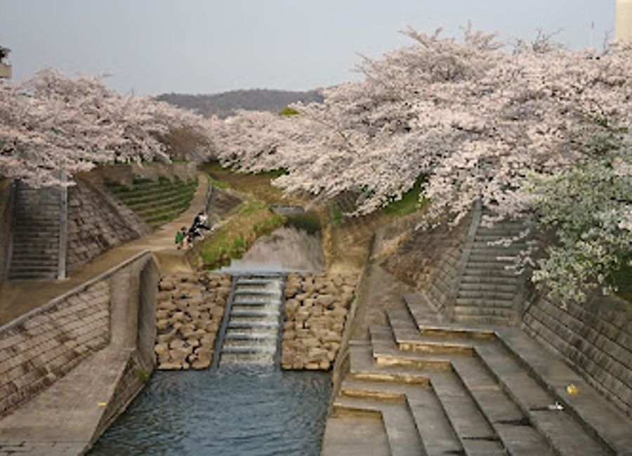 Discover the serene beauty and cultural heritage of Saho Seseragi no Sato, a tranquil retreat in Nara, Japan, perfect for relaxation and exploration.