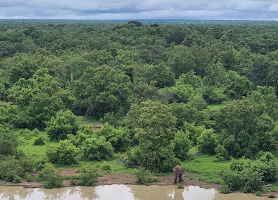 Discover the breathtaking landscapes and diverse wildlife of Mole National Park, a true Ghanaian treasure for nature lovers and adventure seekers.