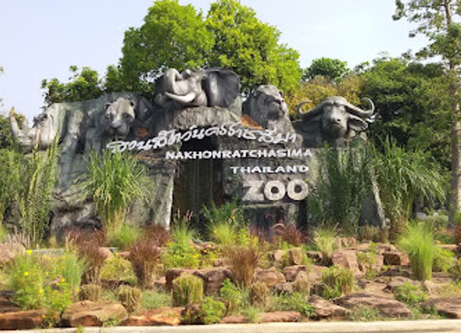 Explore the beauty of wildlife at Nakhon Ratchasima Zoo, a family-friendly attraction filled with captivating animals and educational exhibits.