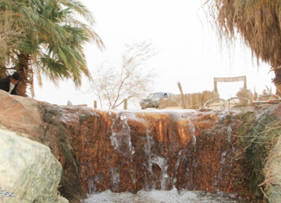 Explore Siwa Nature Reserve: A unique desert ecosystem with rare wildlife, stunning landscapes, and rich cultural heritage in Egypt's Siwa Oasis.