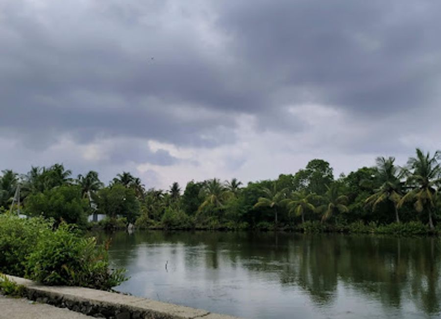 Experience the tranquil beauty and rich culture of Kumbalangi Kavaru Spot, a hidden gem in the backwaters of Kerala, ideal for nature lovers and adventurers alike.