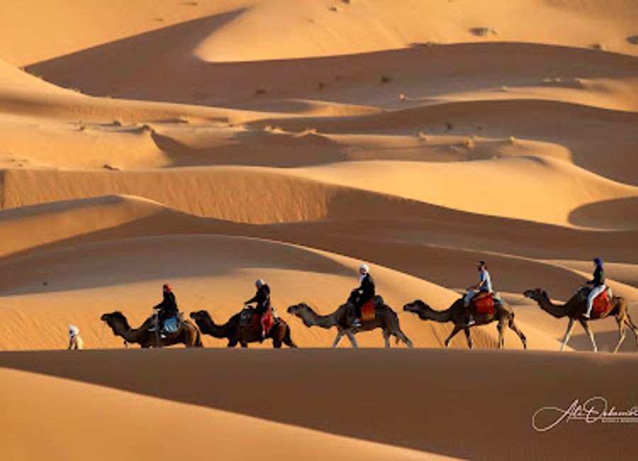 Experience the breathtaking beauty of the Merzouga Desert, where adventure meets rich Berber culture in the heart of Morocco's Sahara.