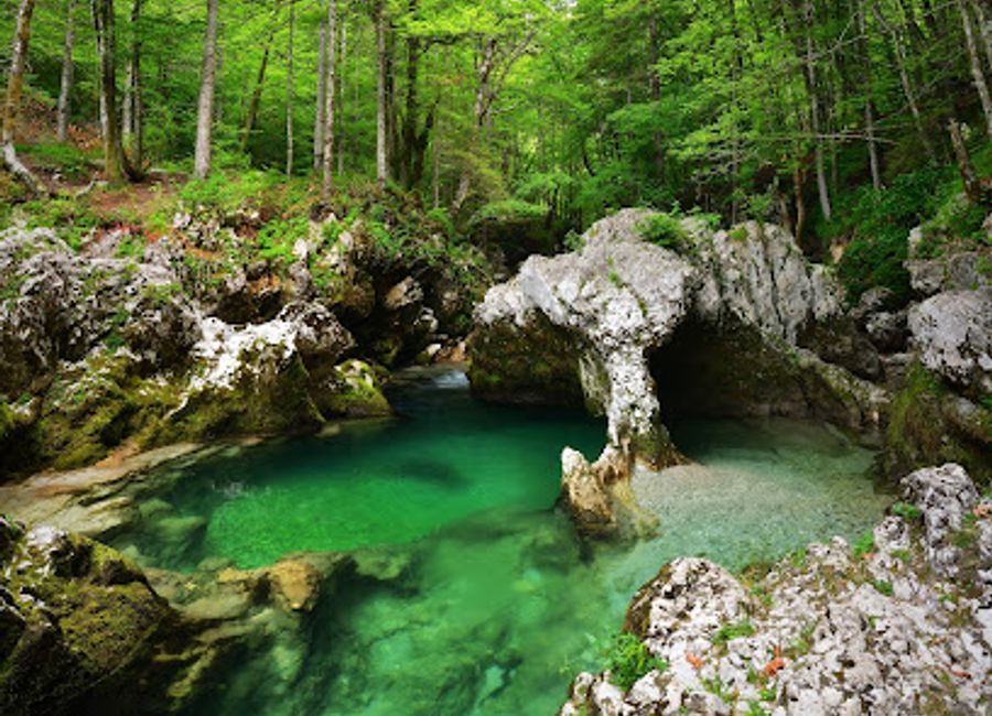 Explore the stunning natural beauty of Mostnica Gorge, a serene hideaway in Slovenia surrounded by majestic cliffs and crystal-clear waters.