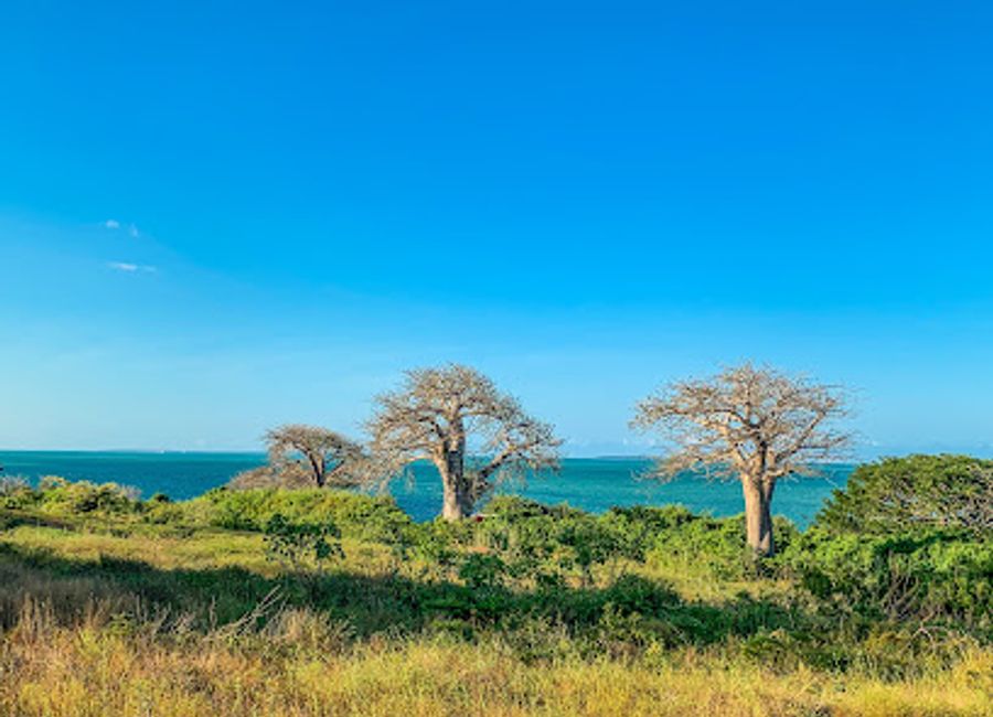 Discover the rich cultural heritage of Mozambique at Chibuene Museum in Vilankulos, a captivating destination for history enthusiasts and curious travelers.