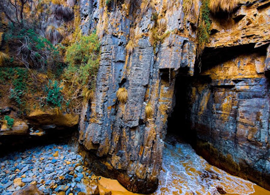 Explore the stunning Remarkable Cave in Tasmania, a natural wonder with breathtaking views, unique rock formations, and rich marine life.