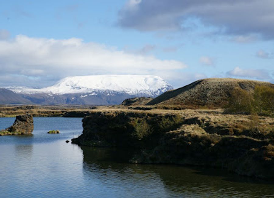 Explore the serene beauty of Hofdi, a picturesque nature preserve in Iceland, filled with lush landscapes and vibrant wildlife perfect for nature lovers.