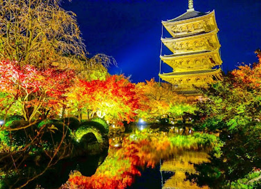 Experience the majestic Tōji Temple in Kyoto, home to Japan's tallest pagoda and a serene escape into Buddhist history and culture.
