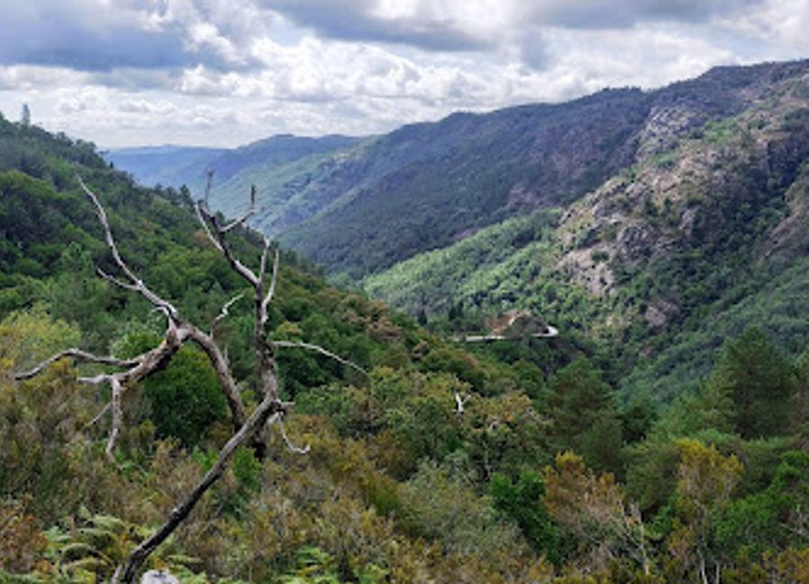 Discover the breathtaking beauty of Trilho da Preguiça, a serene hiking trail in Gerês that offers stunning landscapes and a peaceful outdoor experience.