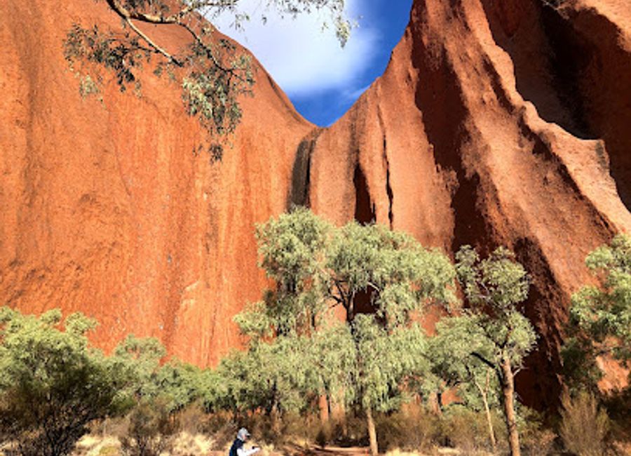 Discover the heart of Australia with The Rock Tour, offering unforgettable journeys through iconic landscapes and rich Indigenous heritage.